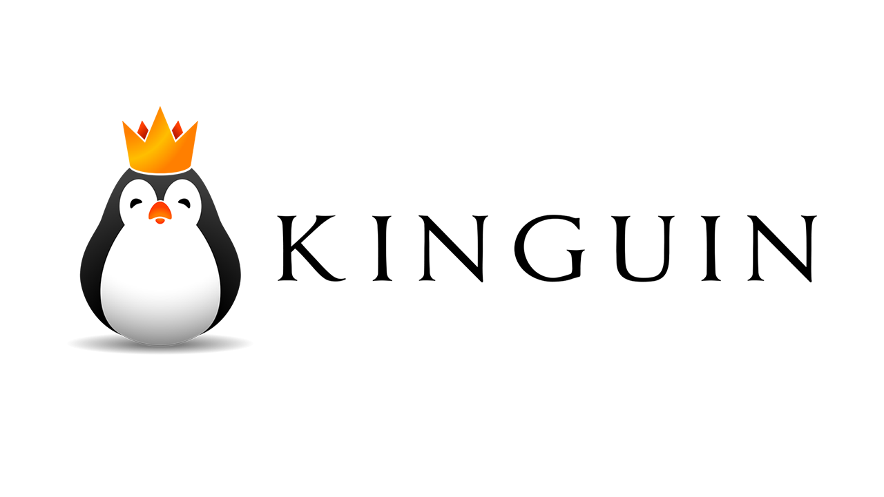 eSport formt ein neues Team Kinguin!