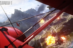 bf1