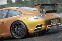 ss095351_1_1440680426