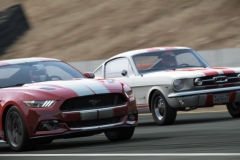 ss175510_1_1440680476