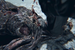Resident_Evil_7_Not-a-Hero_01